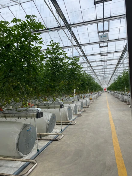 Torku Atıştırmalık Fabrikası Gezisi